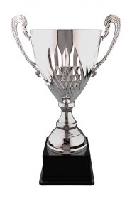 Cupe Sportive LX 011